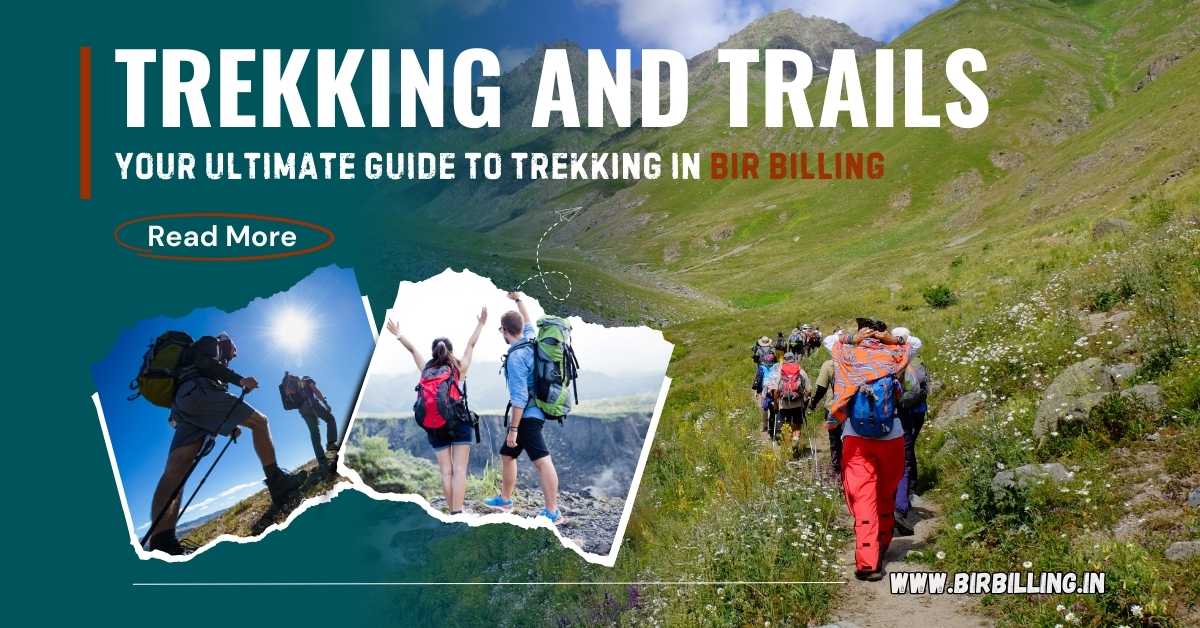 Your Ultimate Guide to Trekking in Bir Billing
